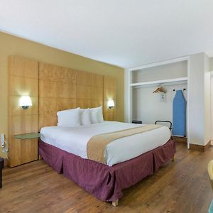 Zimmer mit Kingsize-Bett